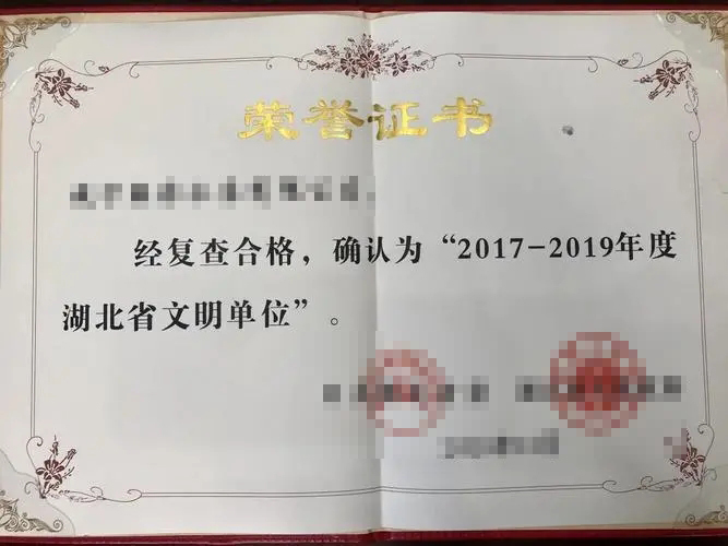 荣誉证书五-星空体育科技有限公司荣誉资质