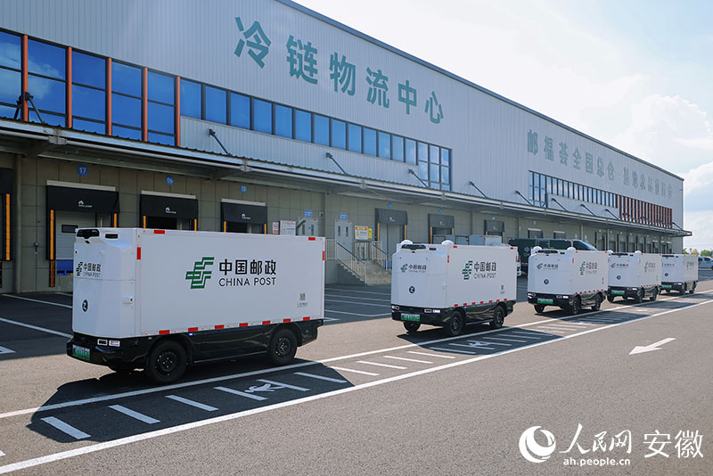 星空SPORTS：冷链物流运输车重汽豪沃42米冷藏车蓝牌冷藏车(图1)
